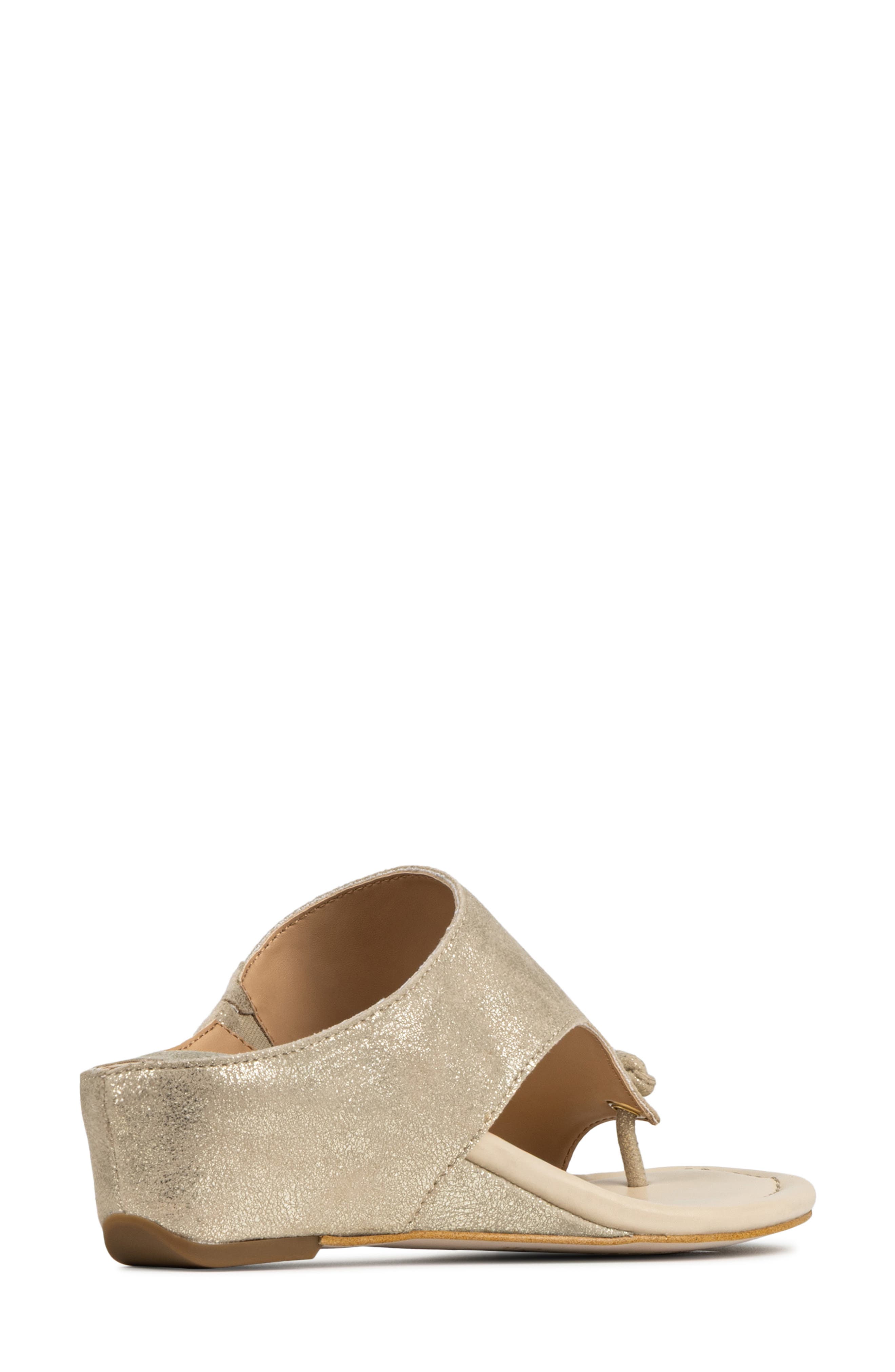 Donald Pliner Toe Loop Wedge Sandal, Alternate, color, Platino