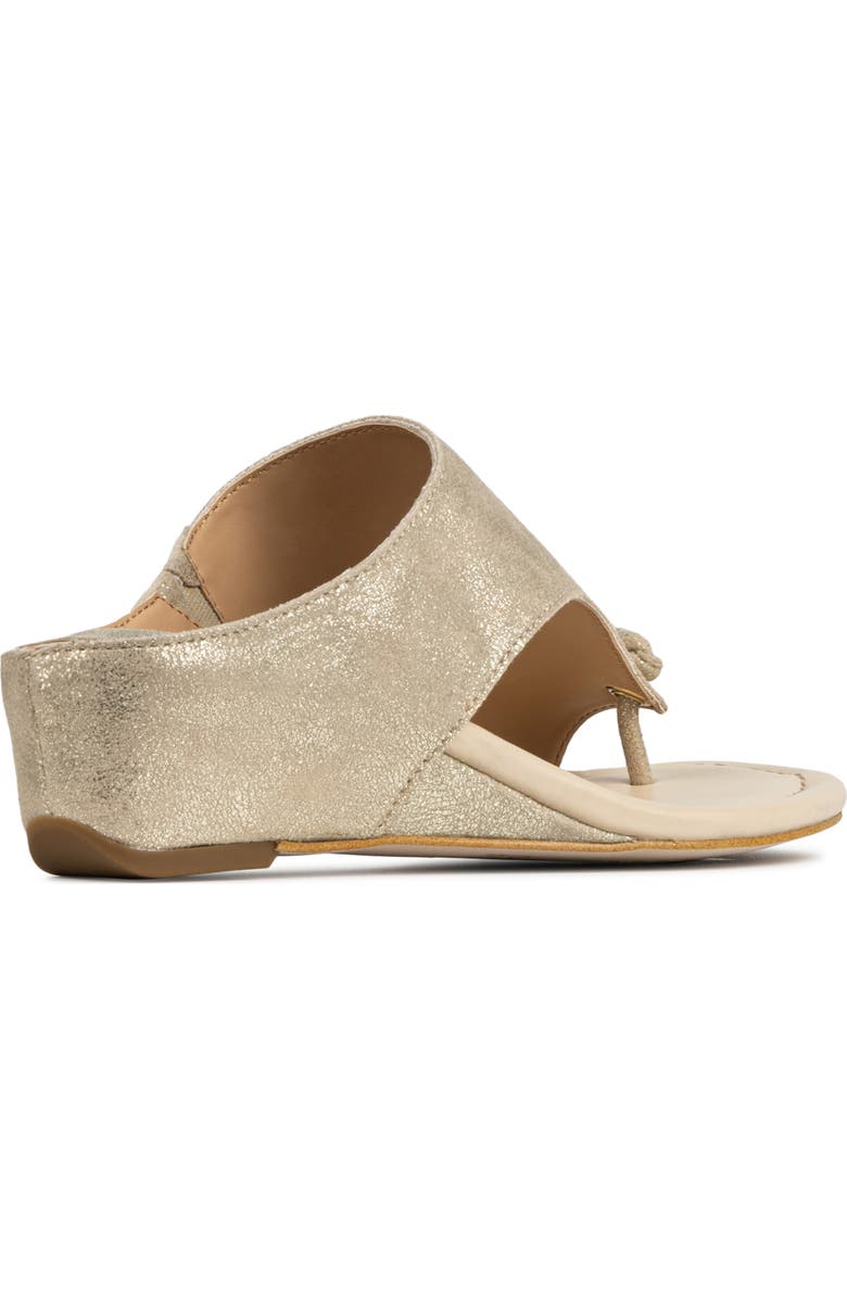 Donald Pliner Toe Loop Wedge Sandal, Alternate, color, Platino