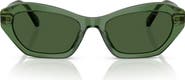 Swarovski 54mm Cat Eye Sunglasses