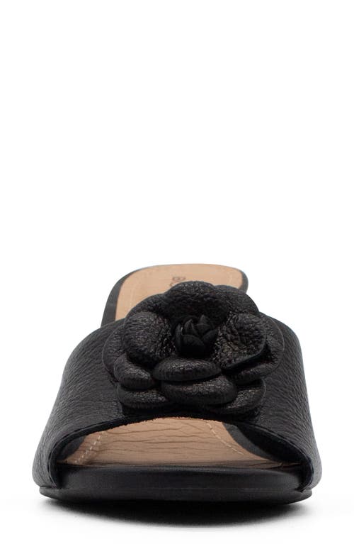 Bottero Botingrid Verao Xxiv Sandal