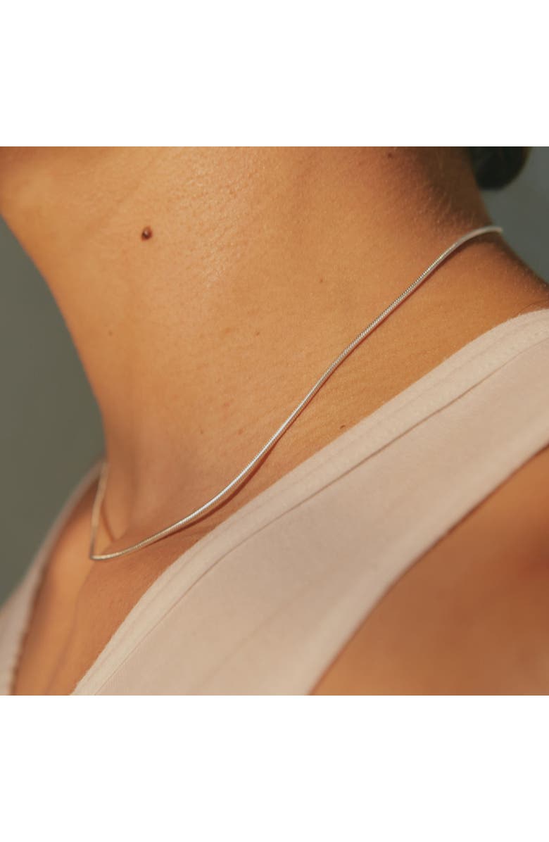 LOUPN Snake Chain Necklace, Alternate, color, Silver