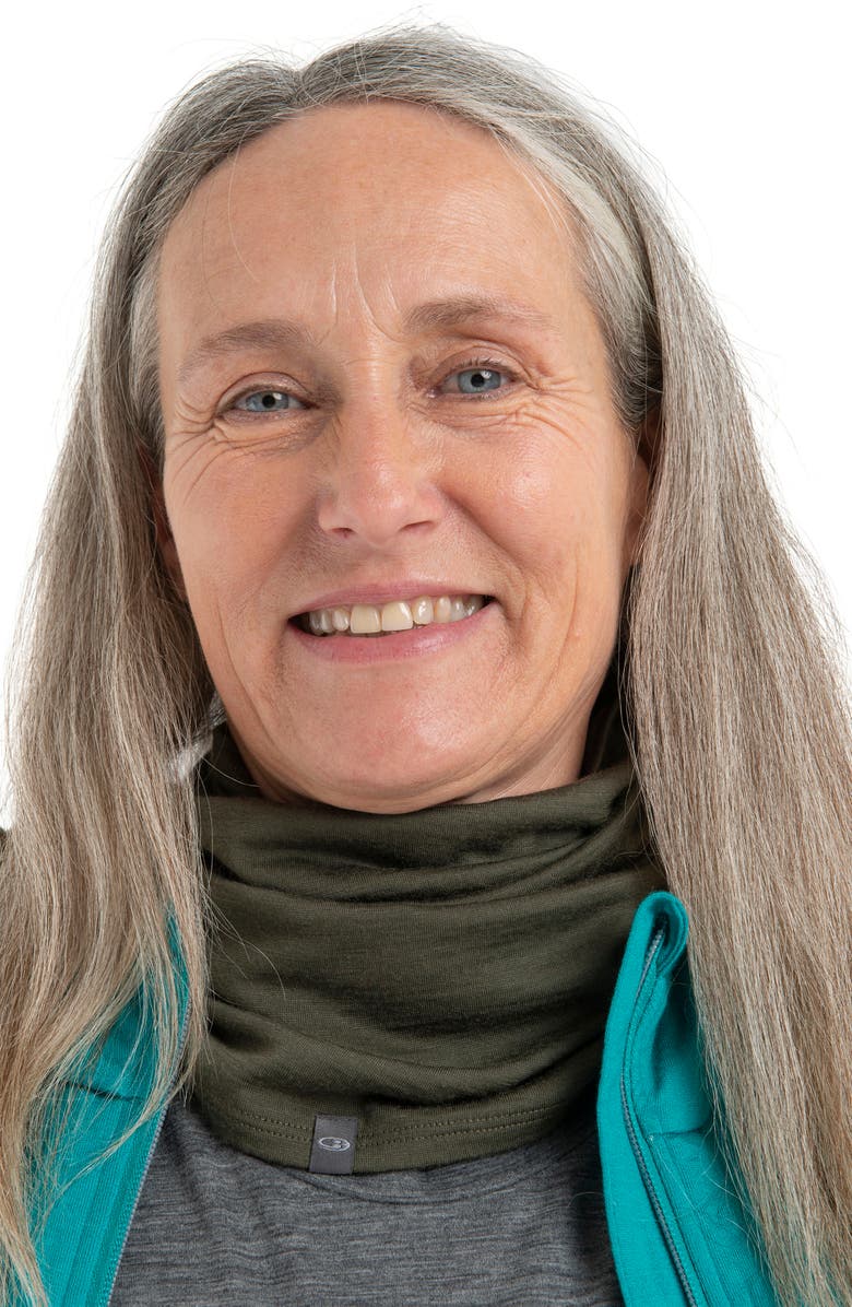 Icebreaker Oasis Flexi Chute Neck Gaiter, Alternate, color,