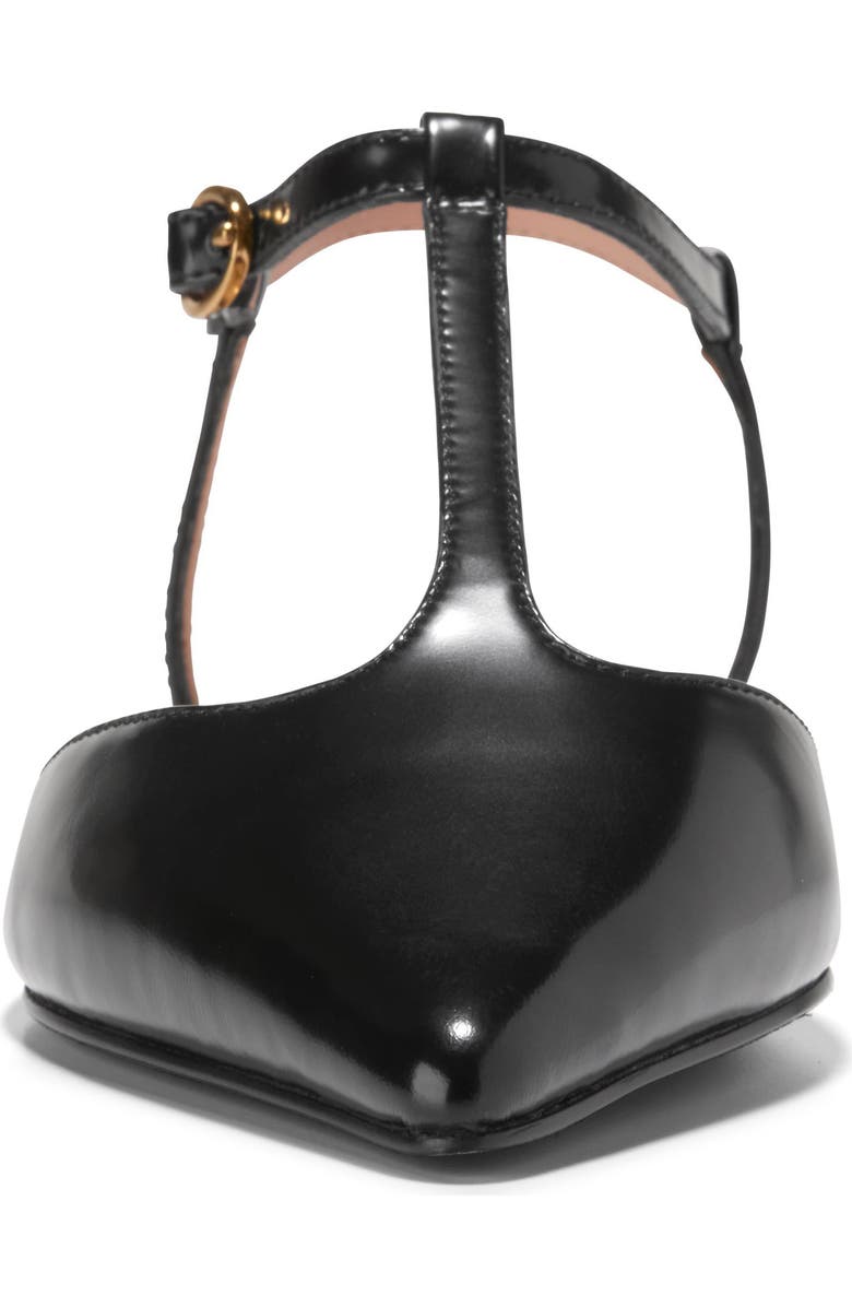 Cole Haan Marlah T-Strap Pointed Toe Ballet Flat, Alternate, color,