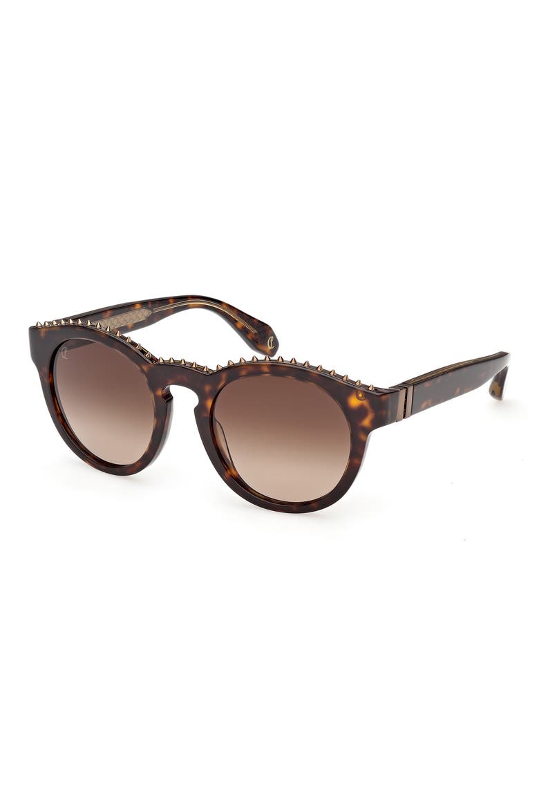 53mm Round Sunglasses, Alternate, color, HAVANA BRONZE / ZEISS GREEN