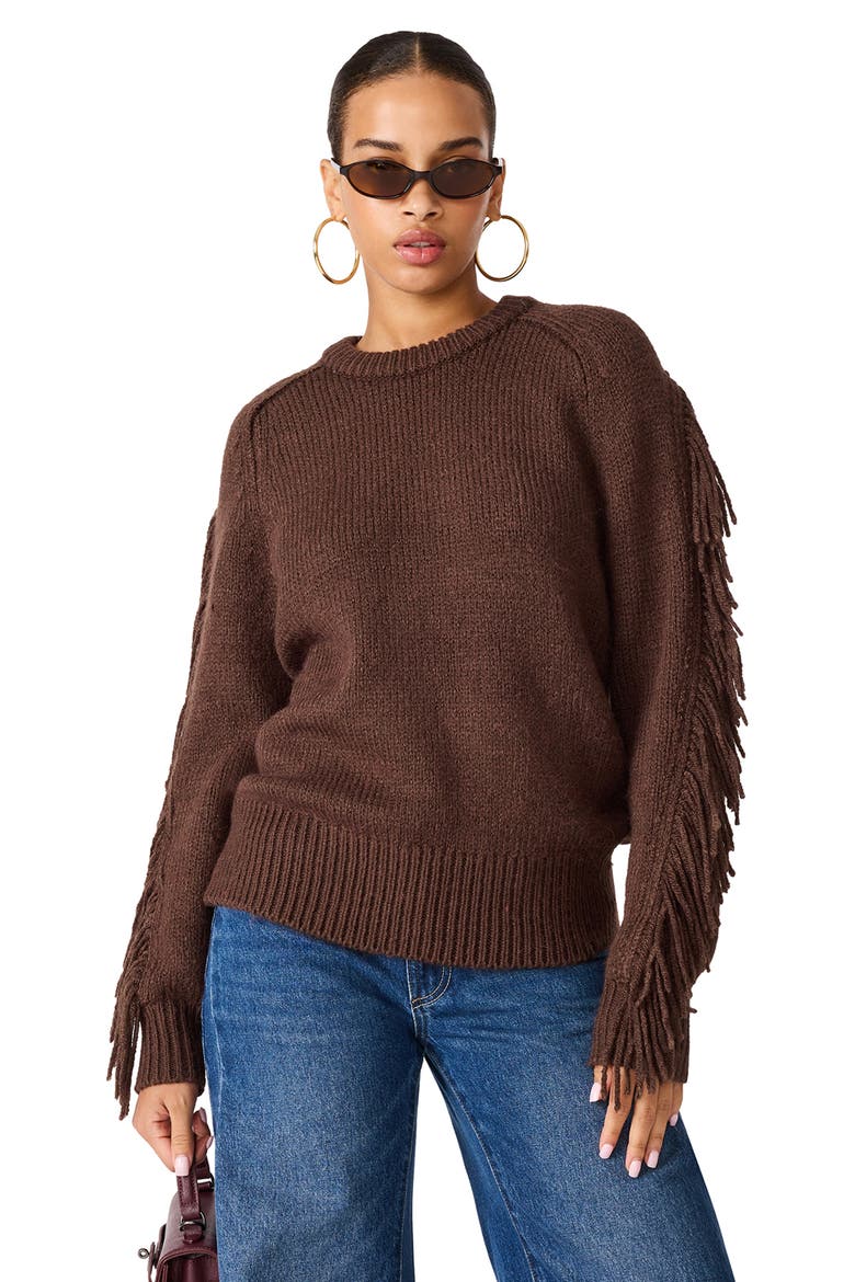Ashlynne Fringe Sleeve Sweater, Alternate, color, DARK TOFFEE