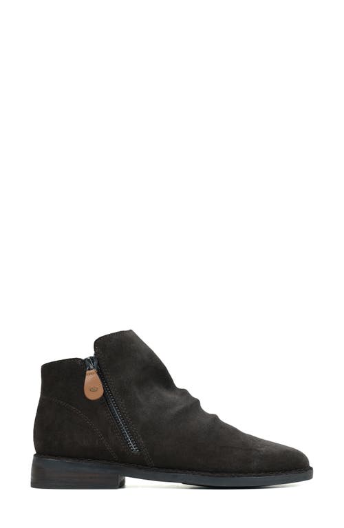 GENTLE SOULS BY KENNETH COLE GENTLE SOULS BY KENNETH COLE EMMA ANKLE BOOTIE