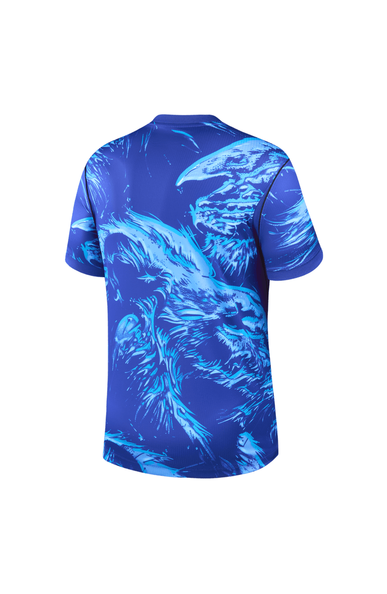 Nike Men's Nike Blue England National Team 2026 Goalkeeper Stadium Replica Jersey, Alternate, color, Blue