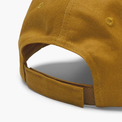 Turtle Fur Boondocker Ball Cap In Brown
