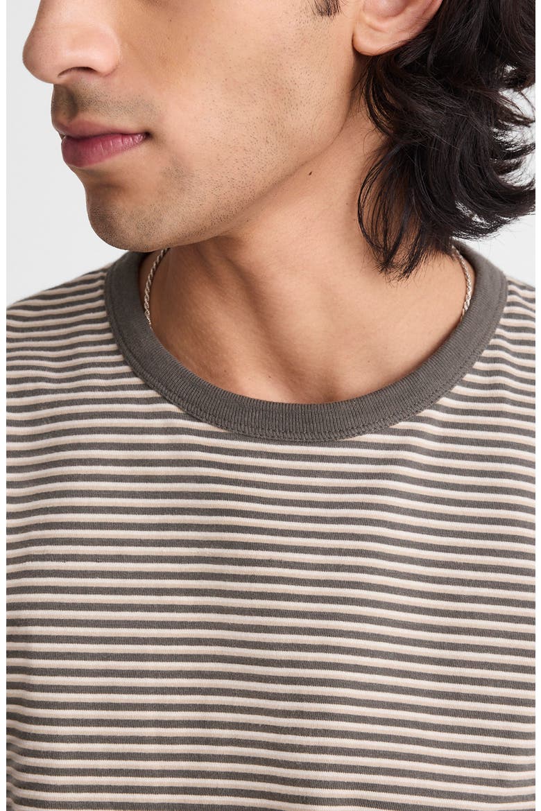 Allday Garment Dyed Cotton T-Shirt, Alternate, color, STRIPE PELICAN GREEN