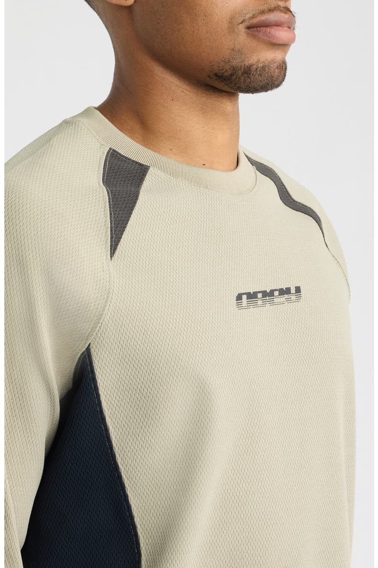 Delta Knit Long Sleeve Graphic T-Shirt, Alternate, color, DRIED SAGE MULTI