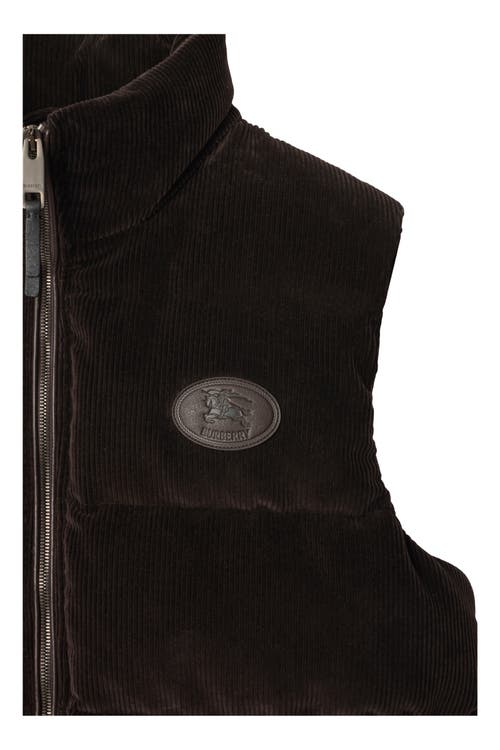 Burberry Corduroy Puffer Gilet In Brown