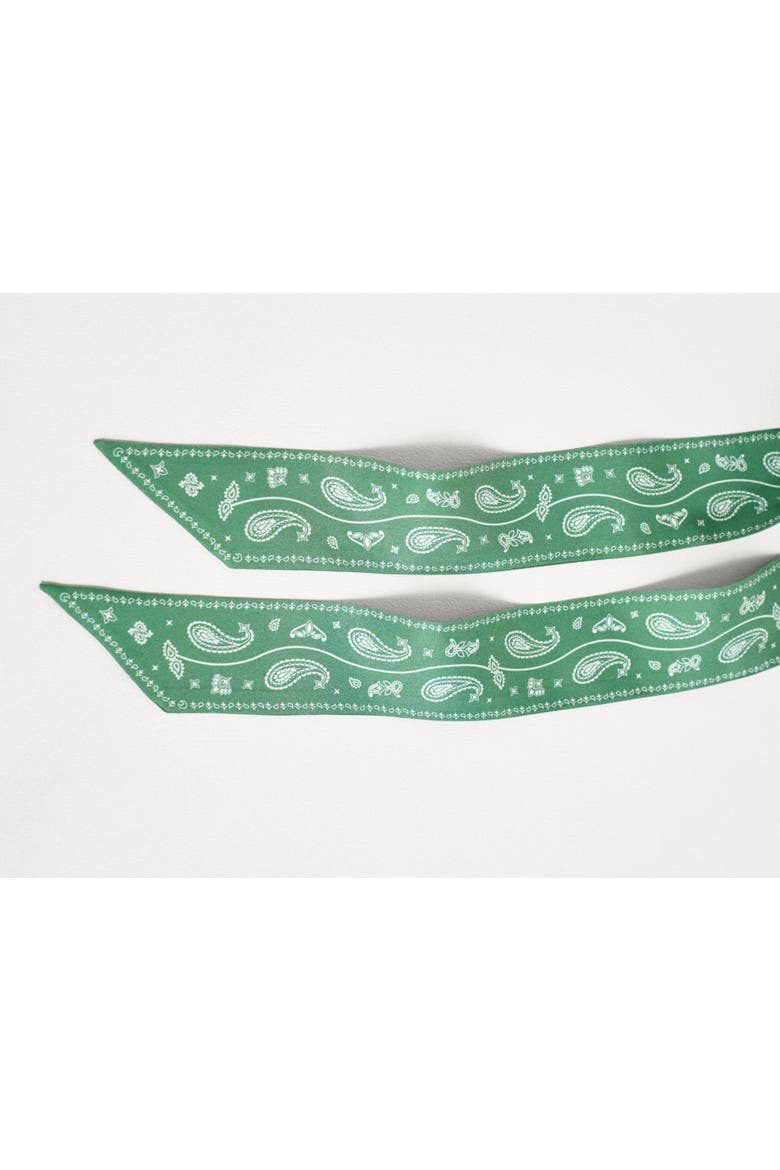"Paisley" Silk Twill Skinny Scarf, Alternate, color, Sagebrush Green