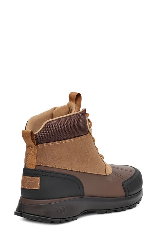 Ugg Mens  Emmett Duck Boot In Brown