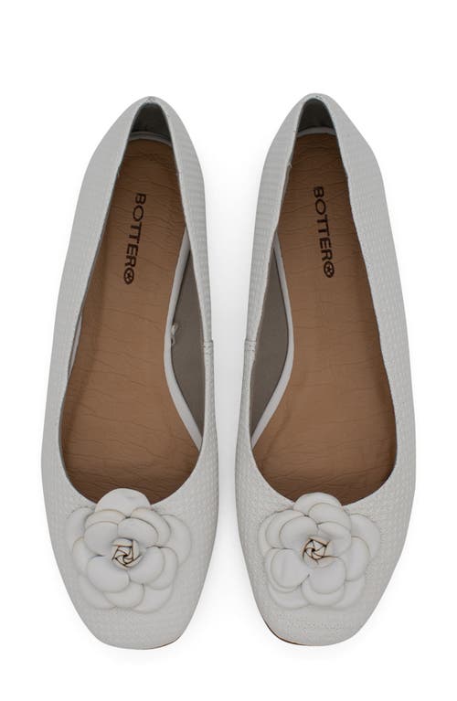 Bottero Botsamya Ballet Flat In Gray