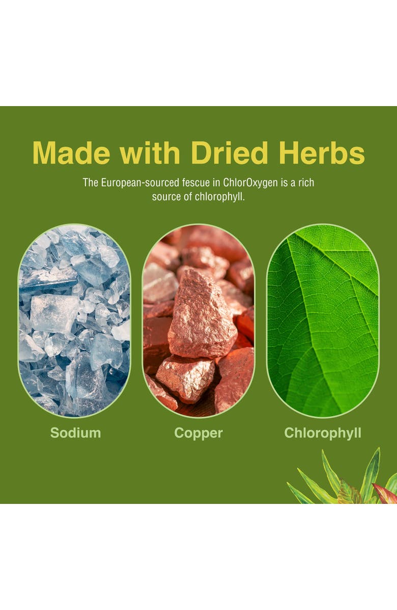 Herbs Etc. ChlorOxygen Chlorophyll Concentrate Liquid, Energy & Blood Support, 2 fl oz, Alternate, color, NO COLOR