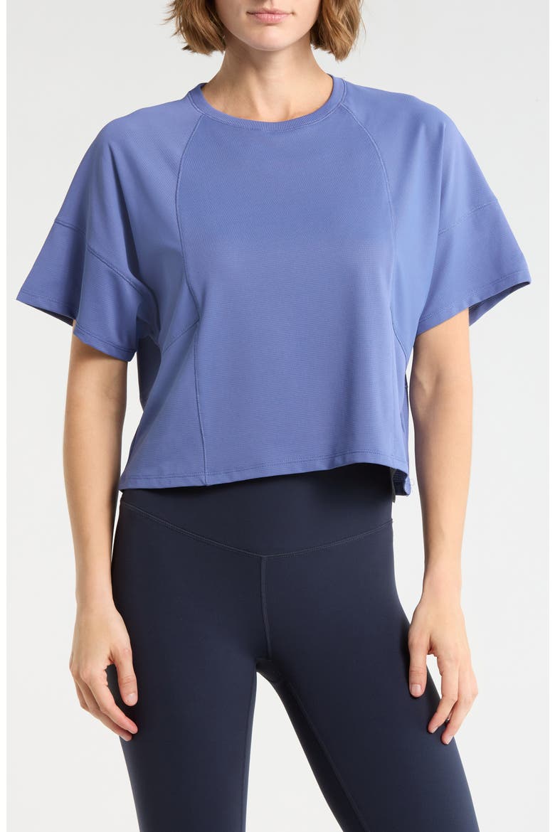 Mabel Crop T-Shirt, Main, color, GRAY BLUE
