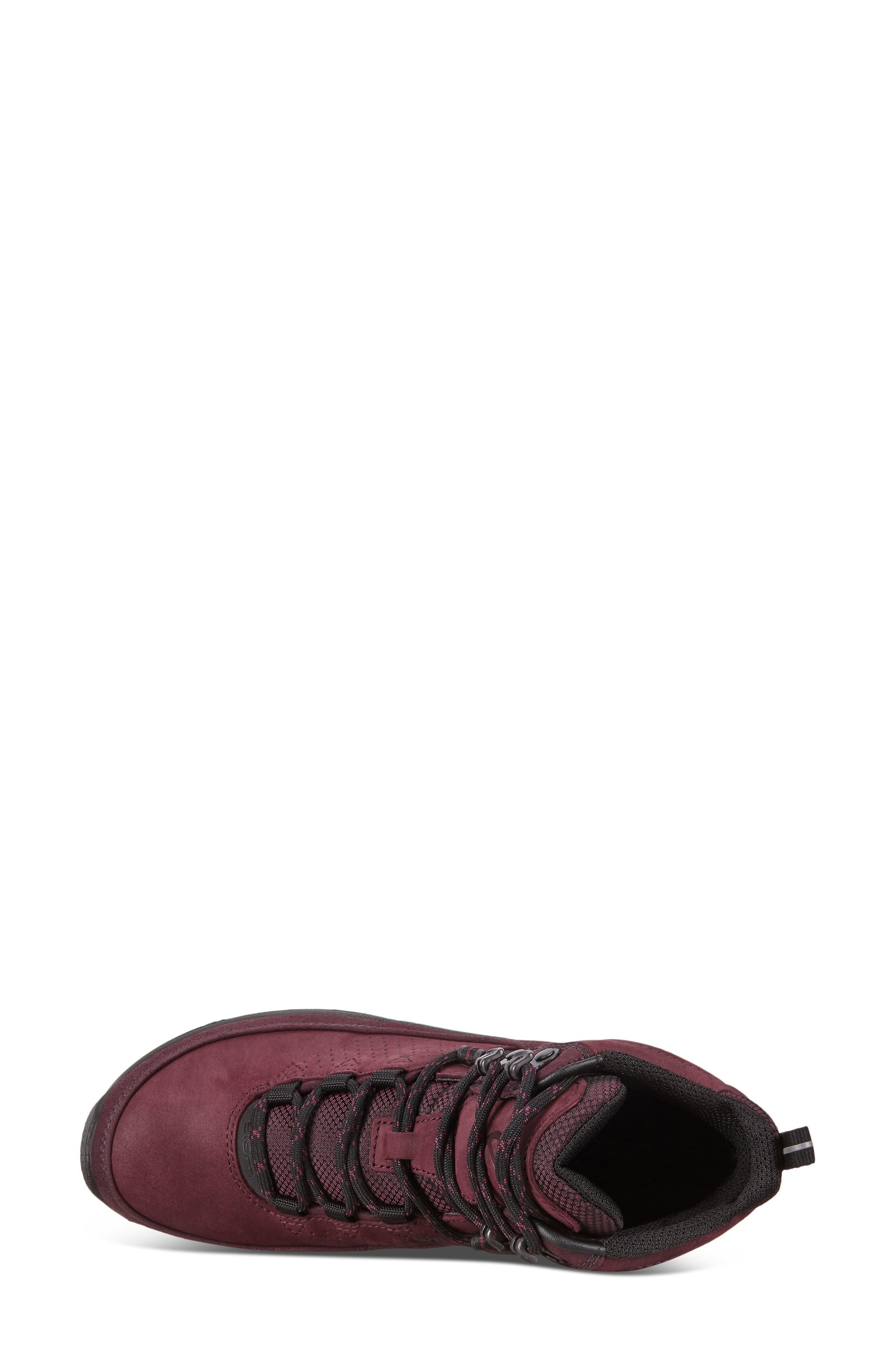 ECCO Biom Terrain Gore-Tex<sup>®</sup> Waterproof Hiking Boot, Alternate, color, 