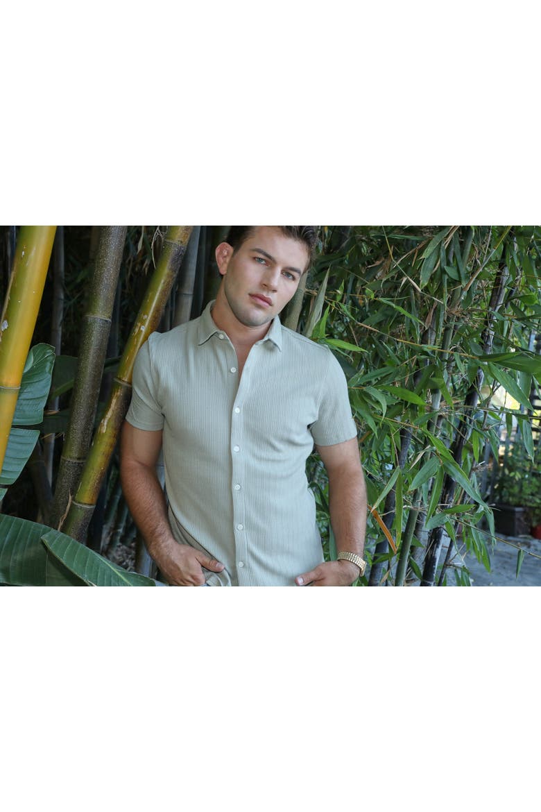 Avila Stretch Shirt, Alternate, color, Sage