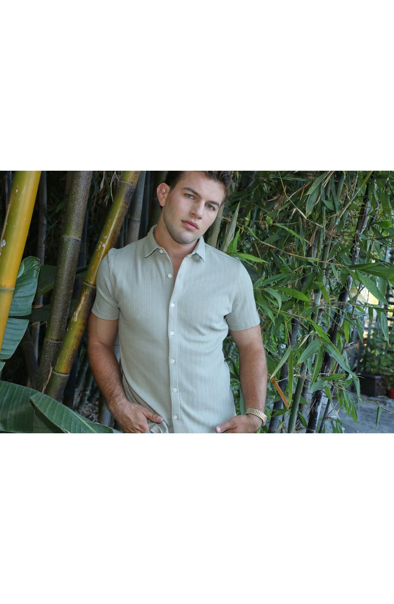 Ledger & Ford Avila Stretch Shirt, Alternate, color, Sage