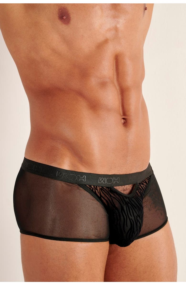 HOM Personal Allure Trunk, Alternate, color, Black