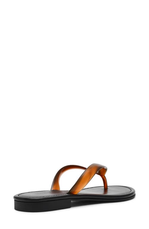 Steve Madden Seasalt Flip Flop In Brown