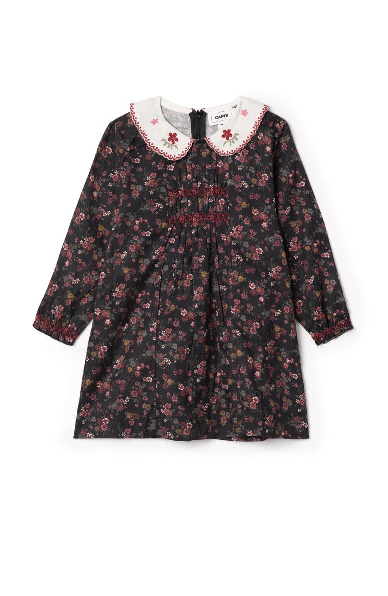 Jolie Capri Embroidered Collar Long Sleeve Cotton Dress, Main, color, Black