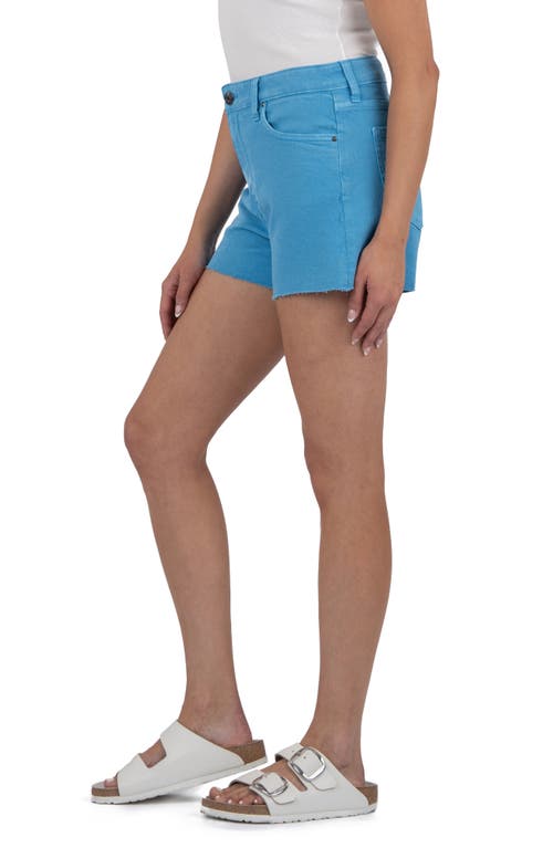 Kut From The Kloth Jane Raw Hem Mid Rise Denim Shorts
