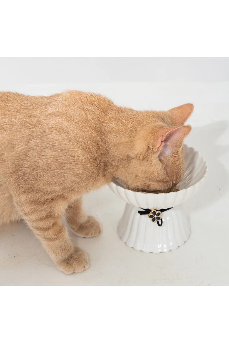Elevated Ceramic Flower Cat Bowl, 8.45oz, Alternate, color, Pink