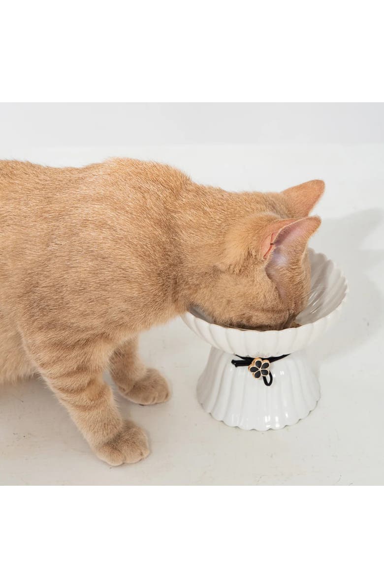 Dexypaws Elevated Ceramic Flower Cat Bowl, 8.45oz, Alternate, color, Pink