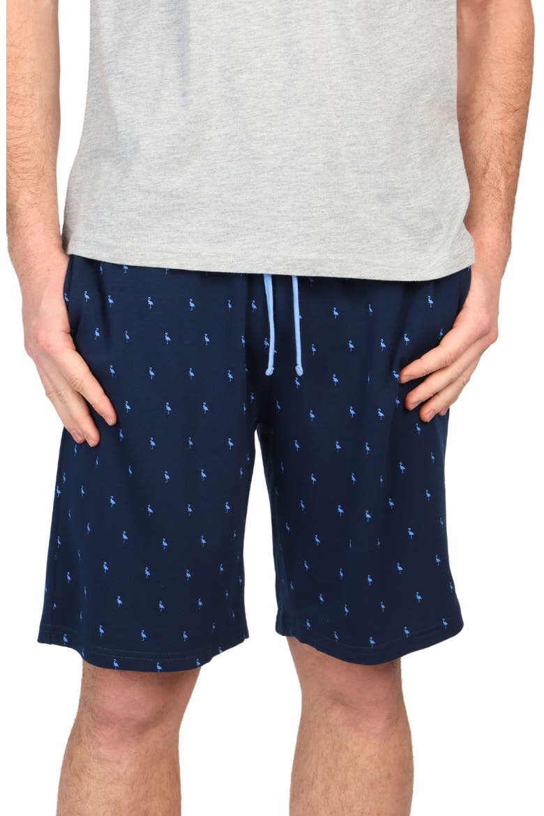 Byrd Print French Terry Shorts, Main, color, NAVY