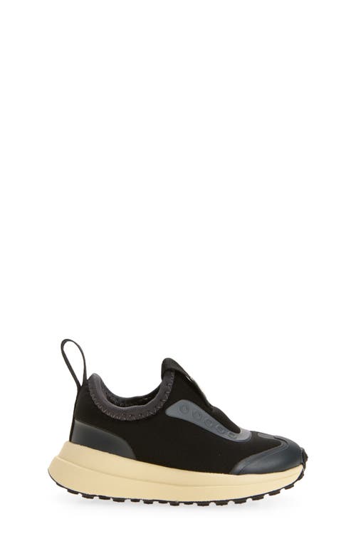 Native Shoes Robbie Dash Slip-on Sneaker In Black