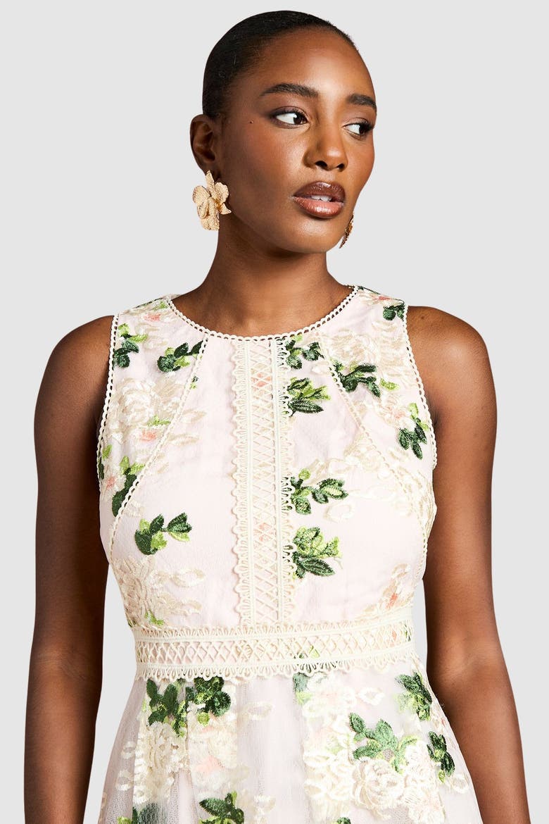Embroidered Mesh Lace Skirted Midi Dress, Alternate, color, Blush