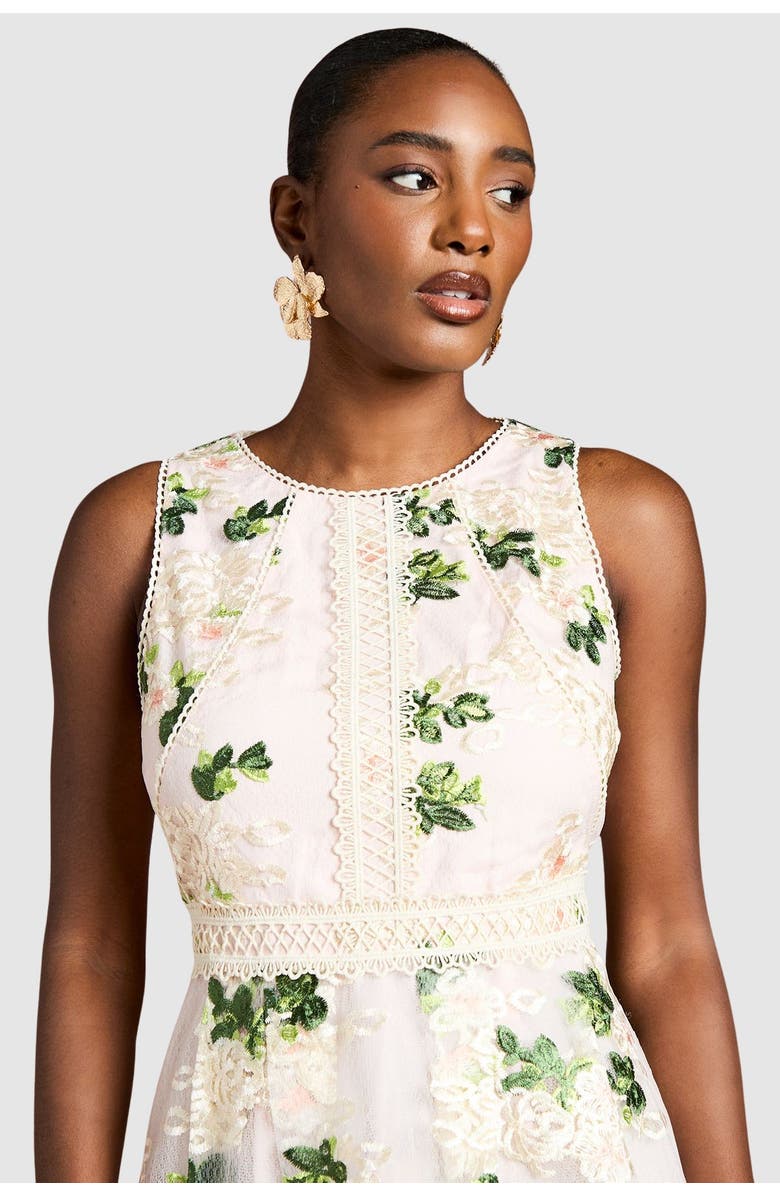 Coast Embroidered Mesh Lace Skirted Midi Dress, Alternate, color, Blush