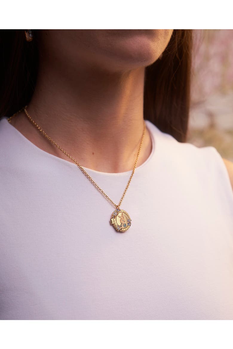x Peter Rabbit Cameo Locket Necklace, Alternate, color, Gold