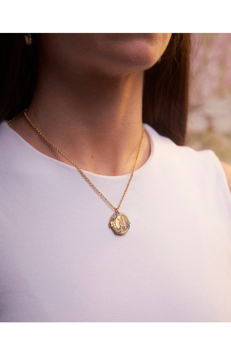 Fable England x Peter Rabbit Cameo Locket Necklace, Alternate, color, Gold