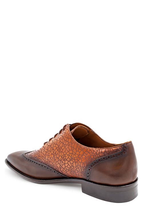 Mezlan Patina Laser Wingtip Oxford