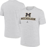 Jordan Brand Men's Jordan Brand White Michigan Wolverines Primetime Velocity T-Shirt