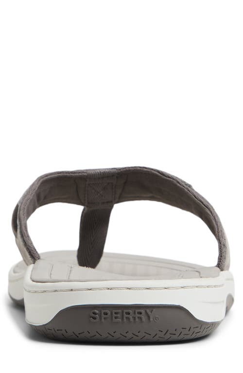 Sperry Baitfish Flip Flop In Light Grey