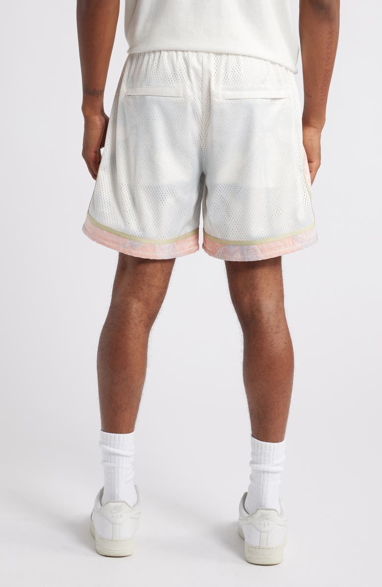 Island Avenue Kakapo Mesh Basketball Shorts, Alternate, color,