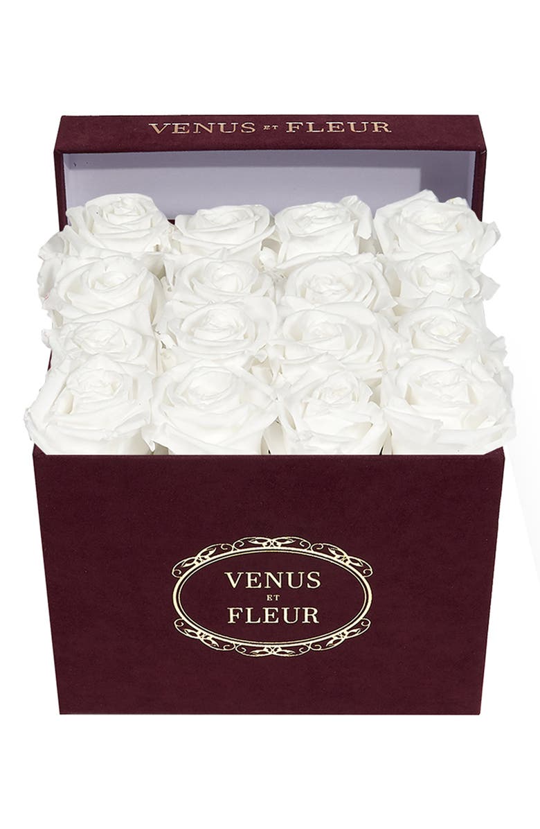 Venus ET Fleur Classic Small Square Eternity Roses, Main, color, 