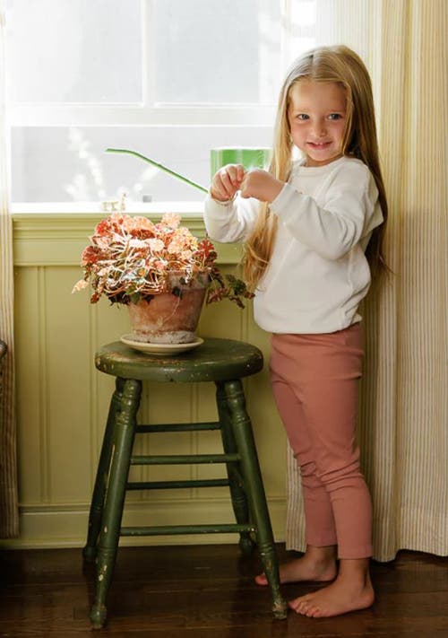 Ely's & Co. Velour Pocket Full Of Flowers Collection In Ivory/pink