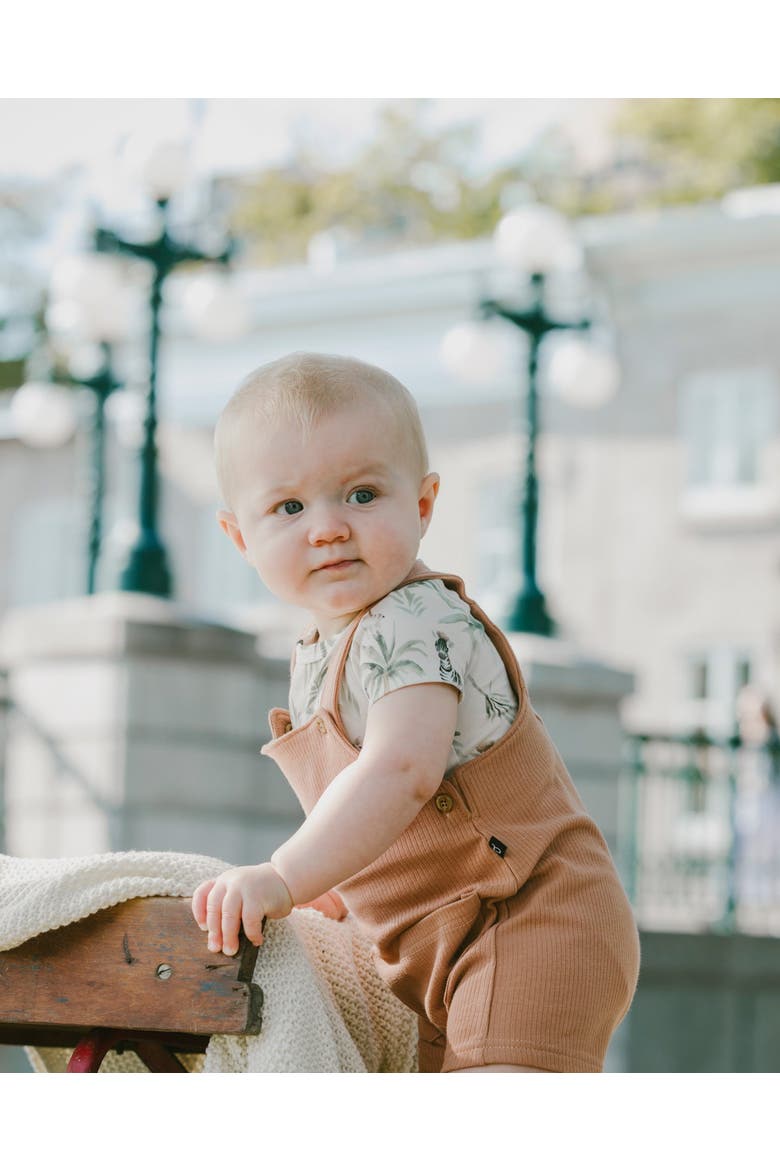 Organic Cotton Jersey Bodysuit and Cotton Rib Shortall Set, Alternate, color, Beige Zebra Print & Caramel