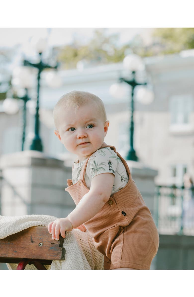 Deux par Deux Organic Cotton Jersey Bodysuit and Cotton Rib Shortall Set, Alternate, color, Beige Zebra Print & Caramel