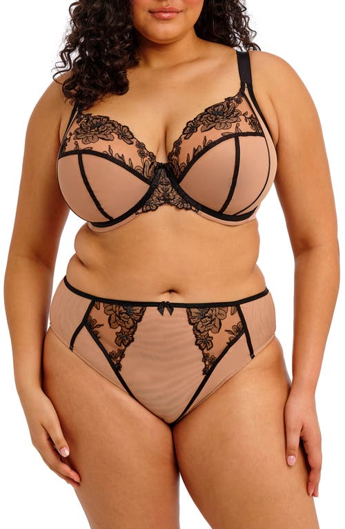 Elomi Teagan Full Figure Underwire Plunge Bra In Brown