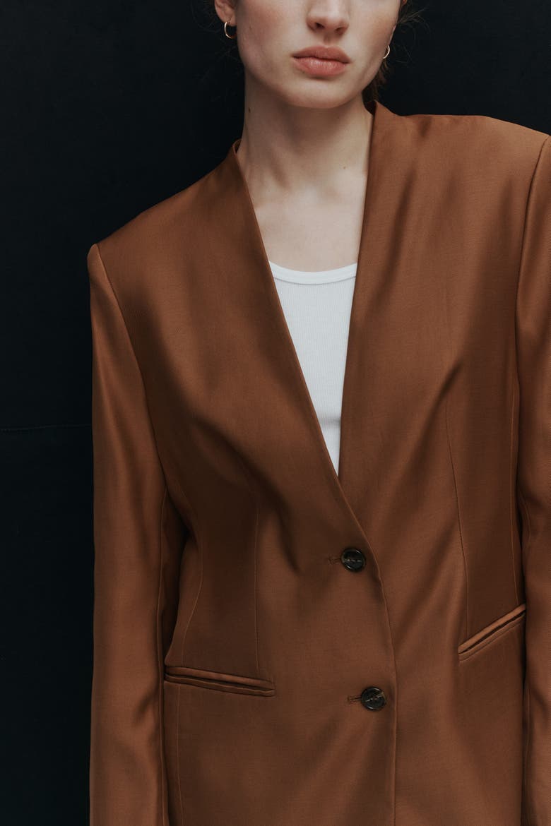 Lapelless Blazer, Alternate, color, Brown