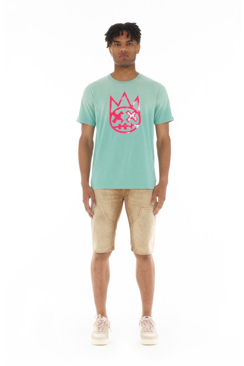 Shimuchan Flocked Logo Graphic T-Shirt, Alternate, color, VINTAGE MINT