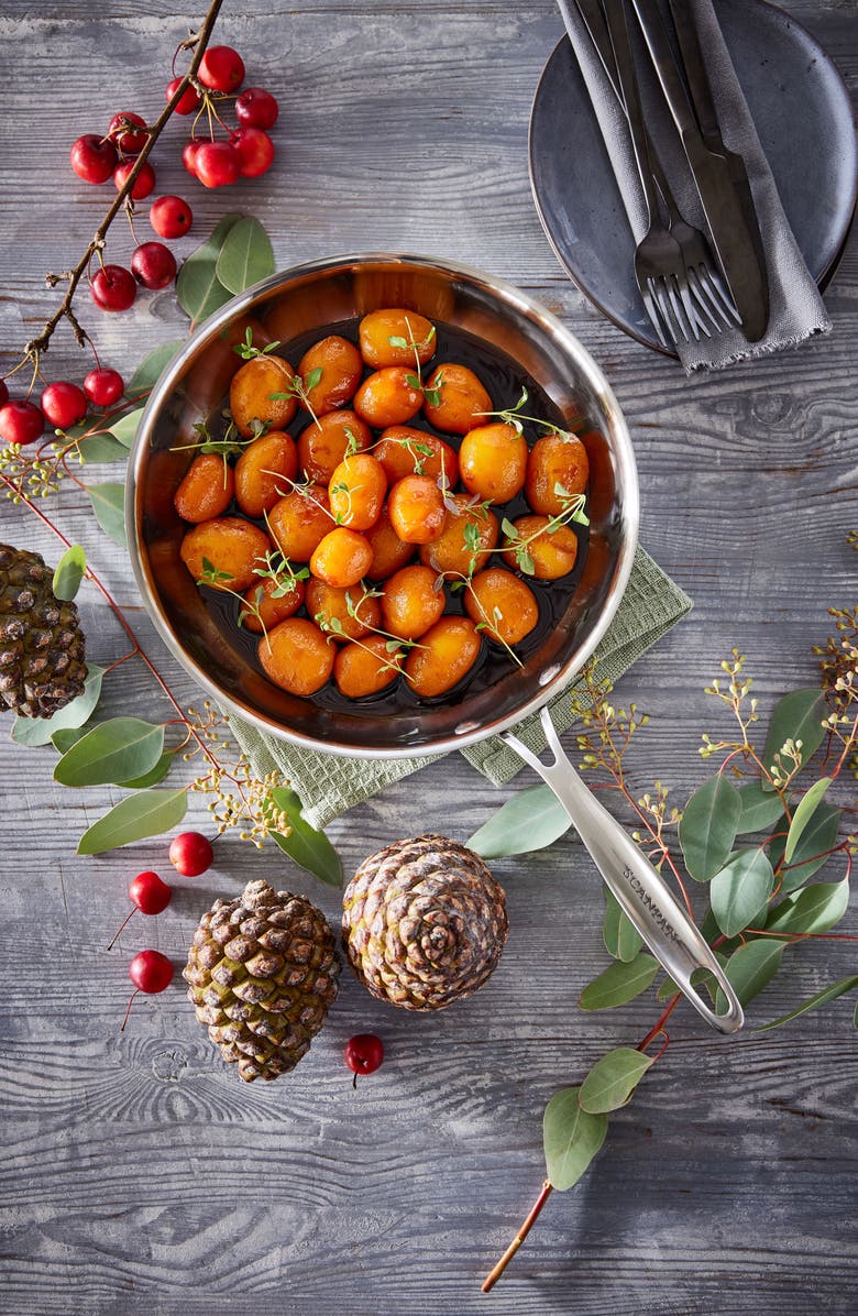 Scanpan Fusion 5 9.5-Inch Fry Pan, Alternate, color, Silver