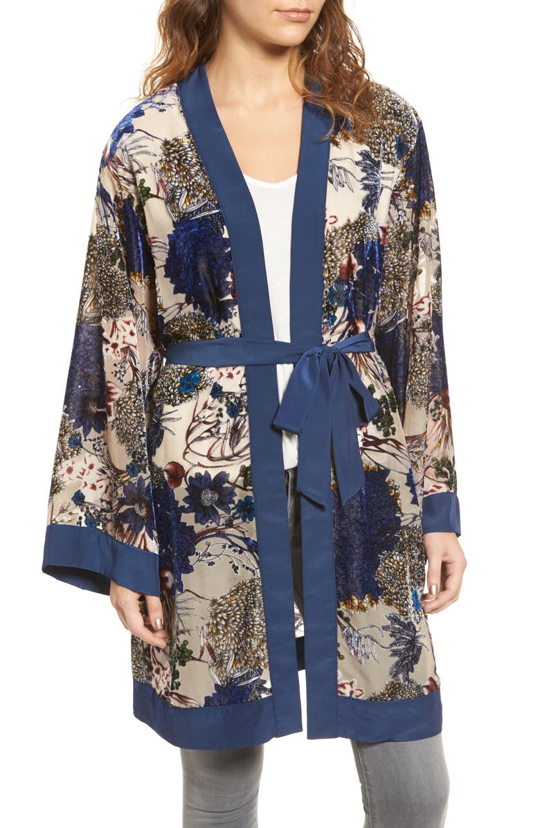 Willow & Clay Velvet Burnout Robe, Alternate, color, 