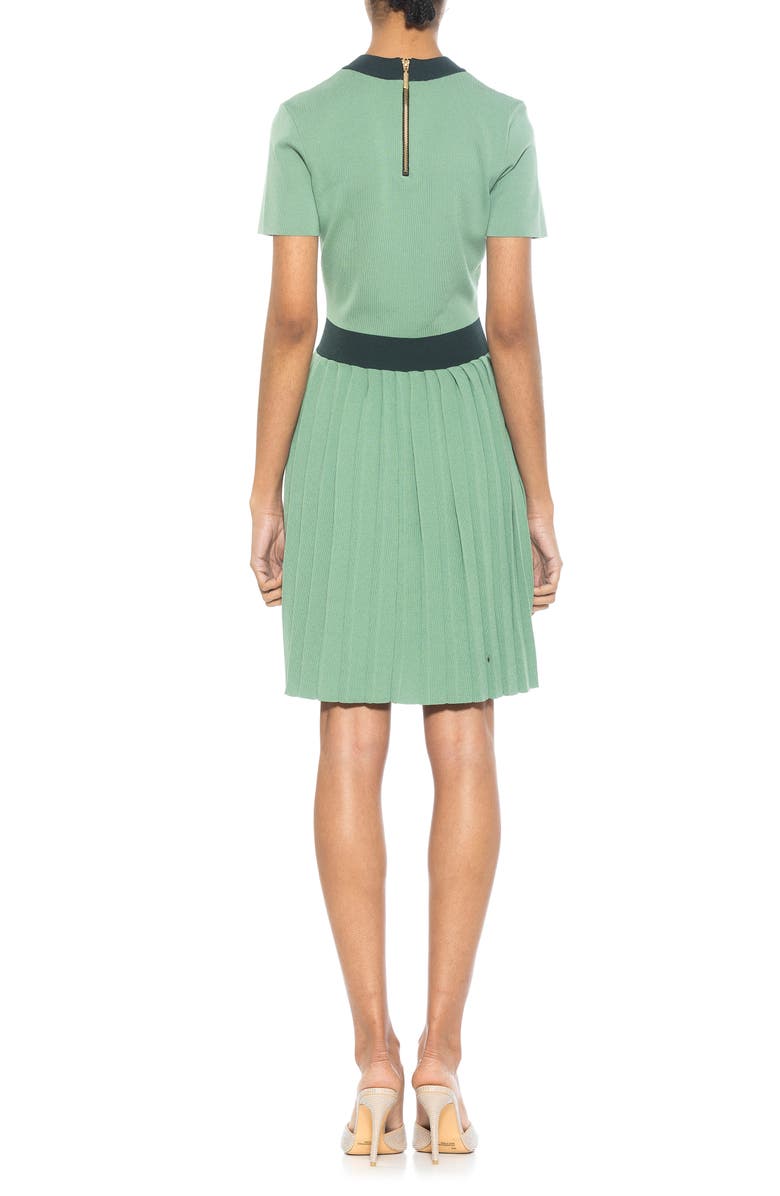 Alexia Admor Anders Short Sleeve Pleated Fit & Flare Dress, Alternate, color, 