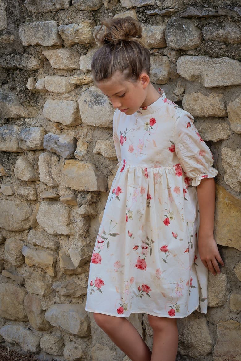 Madeleine Dress, Alternate, color, Rose Garden Toile